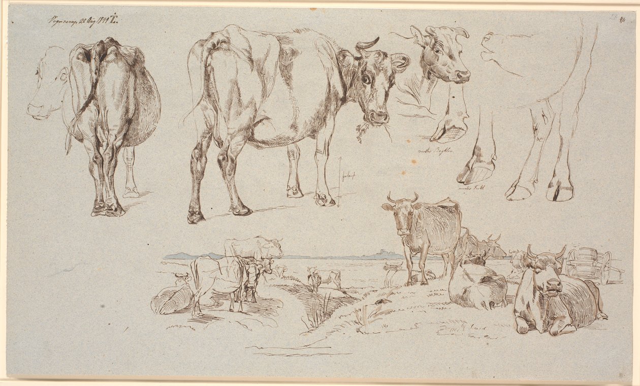 Foglio di studio da Vognserup. Studi di mucche, paesaggio con mucche in piedi e sdraiate da Johan Thomas Lundbye