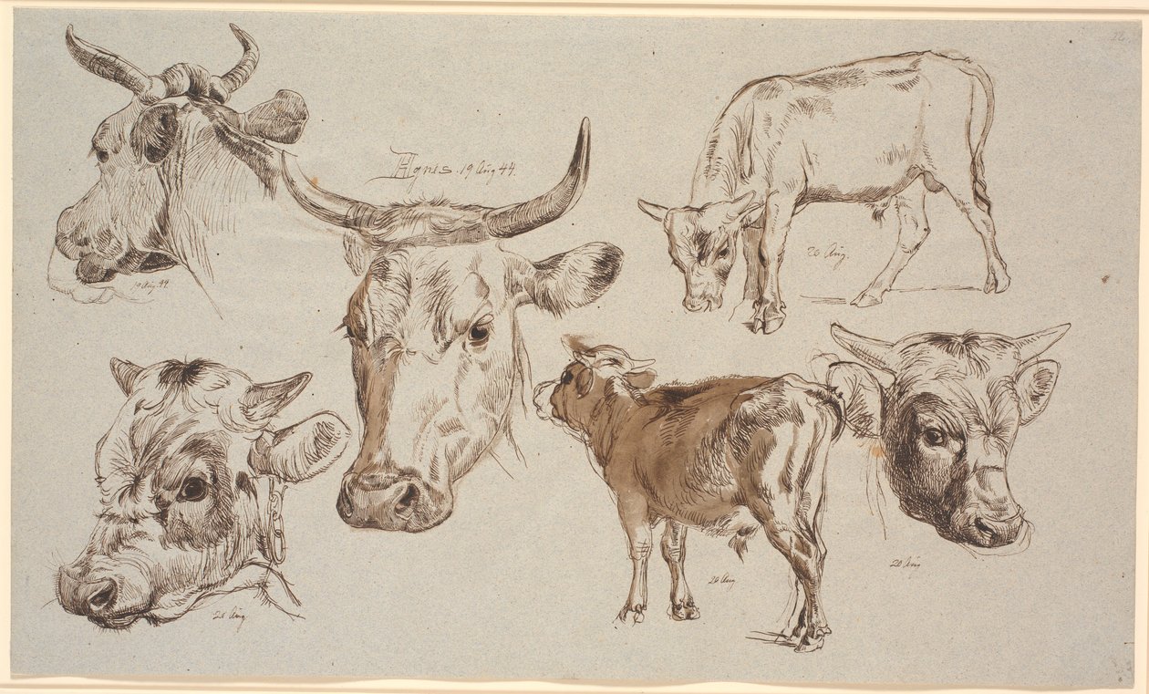 Foglio di studio da Vognserup. Studi di teste di mucche, vitelli e le loro teste da Johan Thomas Lundbye