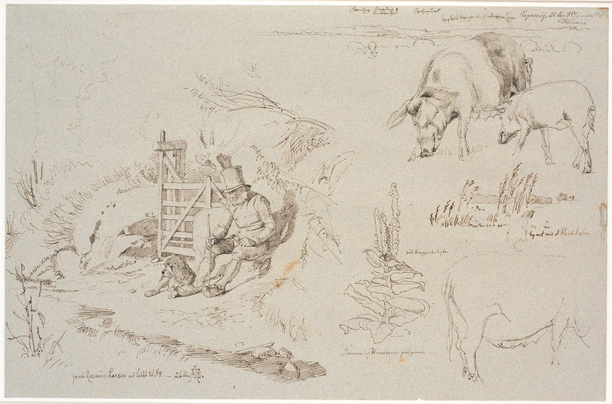 Studieblad fra Vognserup. T. v. en røgter (gamle Rasmus Larsen) siddende med en hund ved et led. F.o.t.h. et landskabsstudie med stedbetegnelser. Herunder to grise. T.h.m.f. studie af siv i en sø. Herunder en kongelysplante og studie af en so da Johan Thomas Lundbye