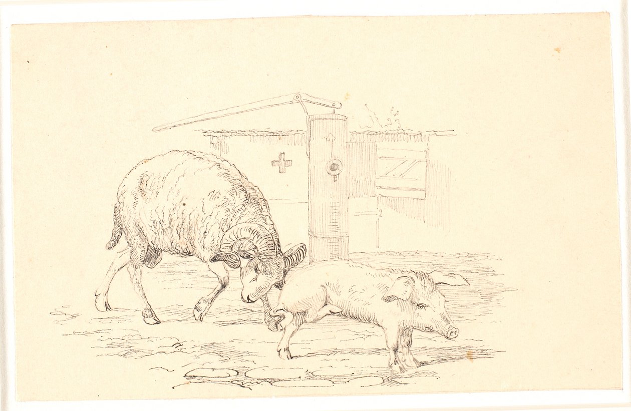 Il montone e il maiale. Illustrazione per "Favole per bambini" di Kaalund. Vedi commento dal catalogo dell