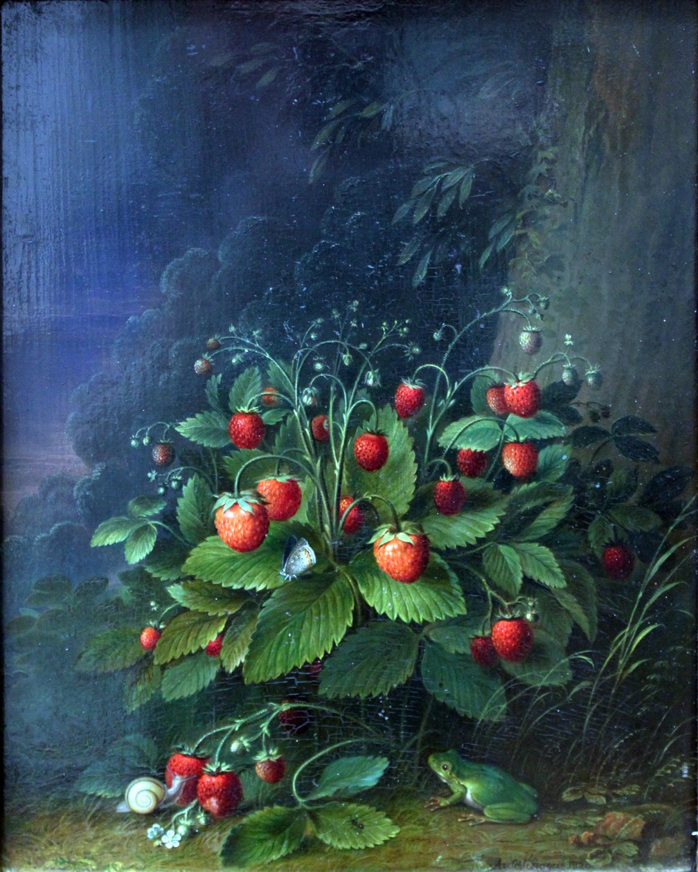 Fragole da Johann Adam Schlesinger