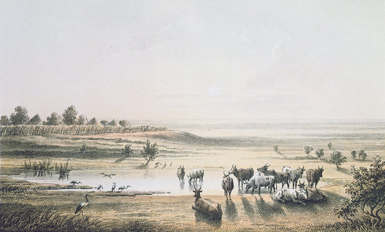 I confini del Ciad nel 1851, da 