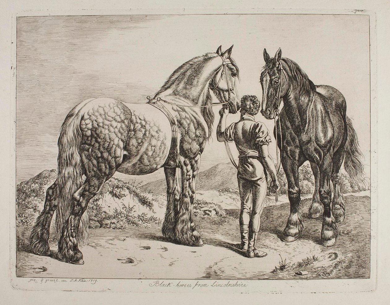 I "Black-Horses" del Lincolnshire da Johann Adam Klein