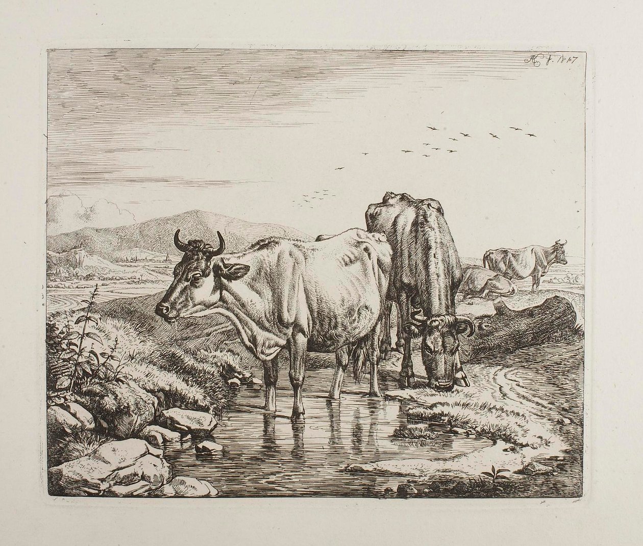 Bovini presso un abbeveratoio da Johann Adam Klein