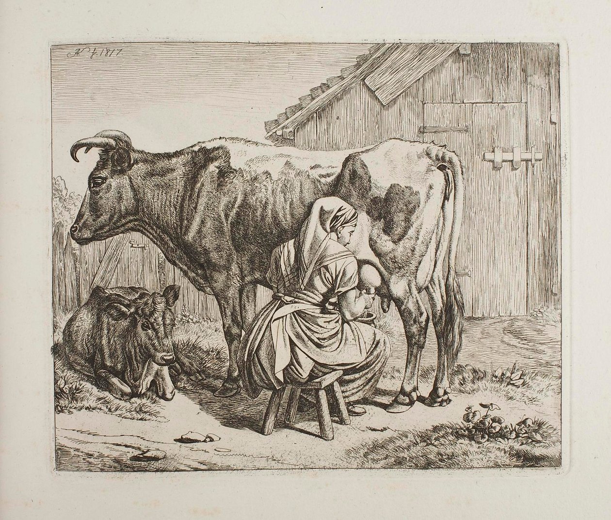 Mucca con vitello durante la mungitura da Johann Adam Klein