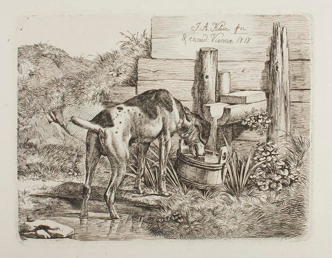 Acqua potabile per cani da Johann Adam Klein