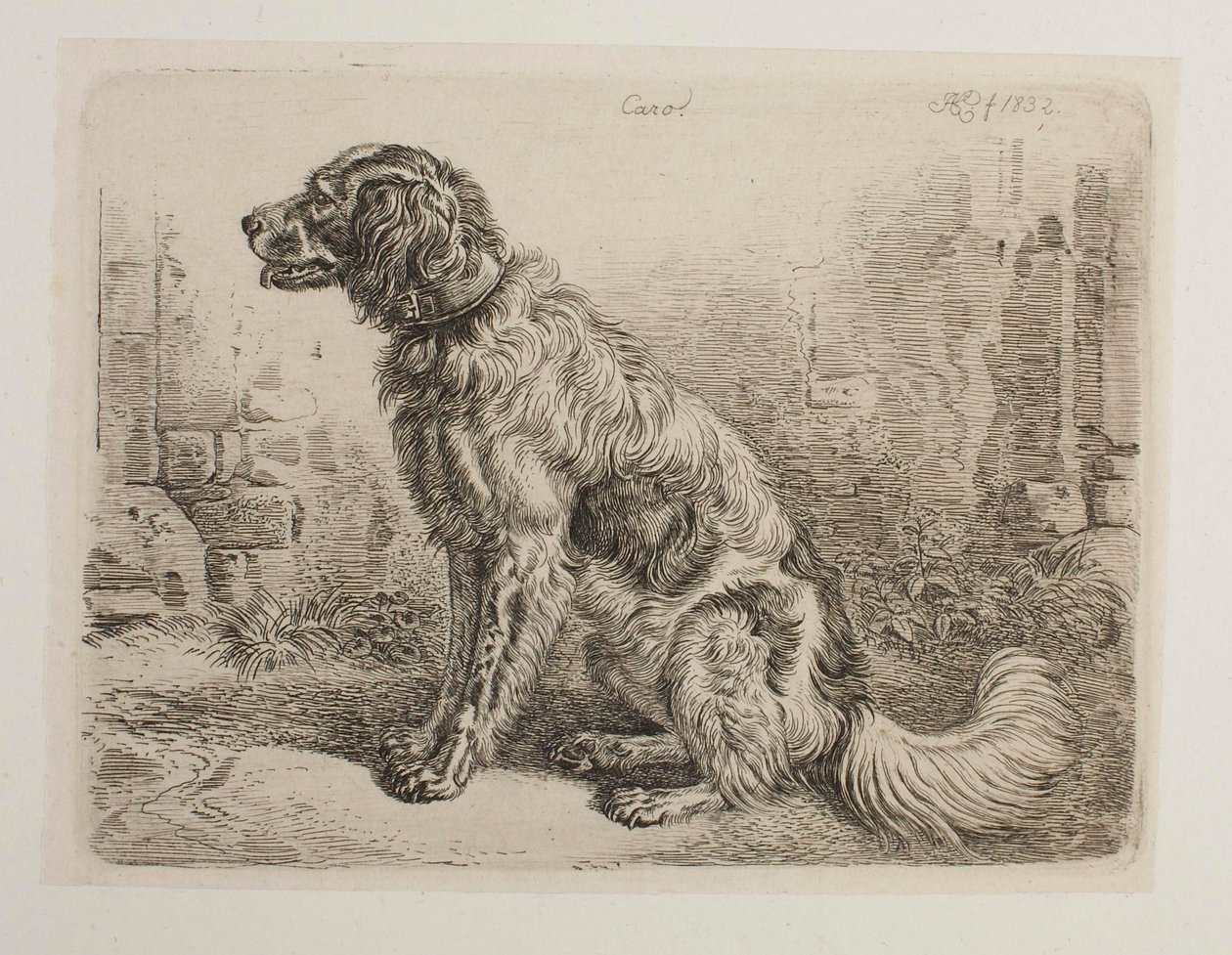 [Ancora senza titolo EN] da Johann Adam Klein
