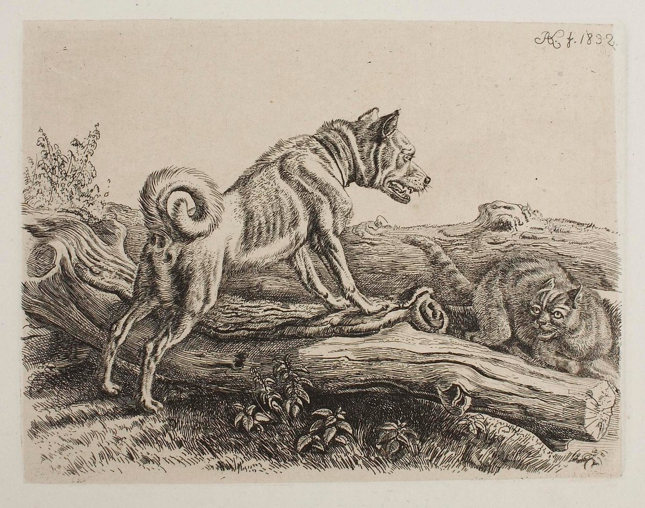 [Ancora senza titolo EN] da Johann Adam Klein