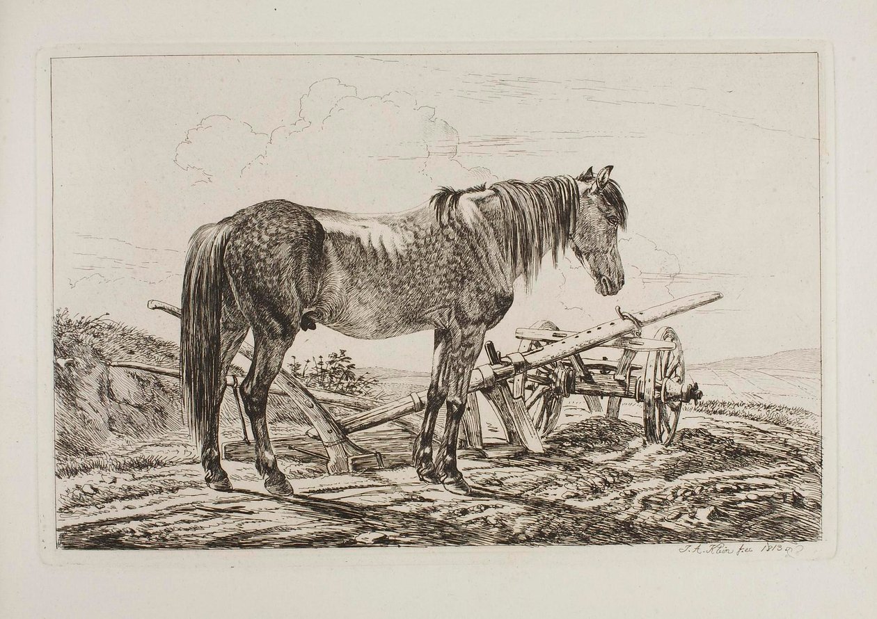 Cavallo accanto a un aratro da Johann Adam Klein