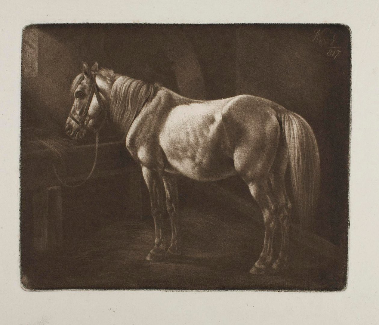 Cavallo presso la mangiatoia da Johann Adam Klein