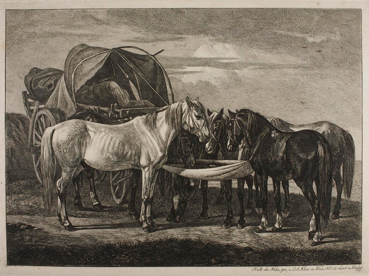 Cavalli presso un carro ungherese da Johann Adam Klein