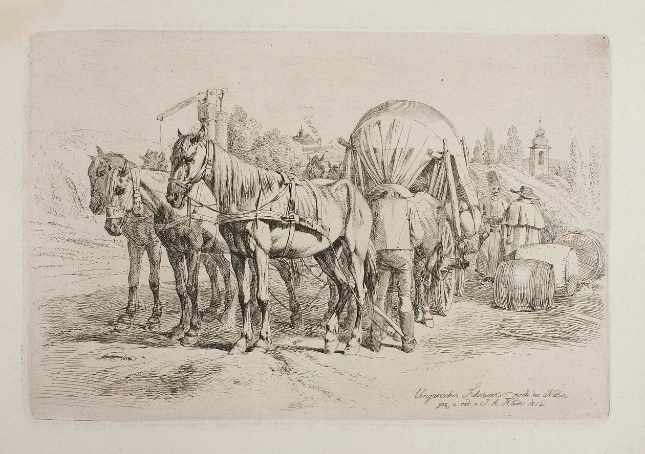 Carrozza a cavalli ungherese da Johann Adam Klein