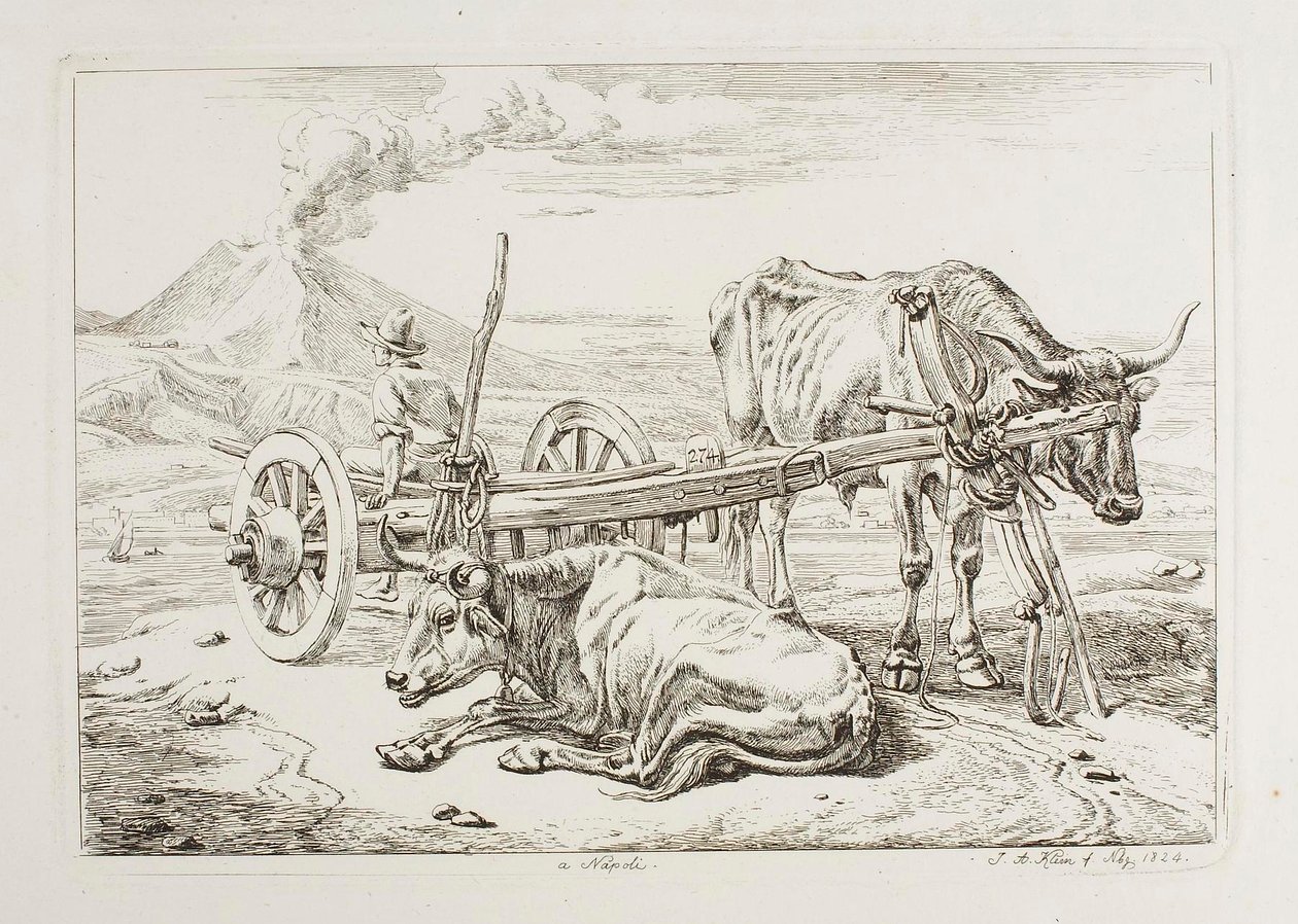 A Napoli (buoi e un carro a Napoli) da Johann Adam Klein