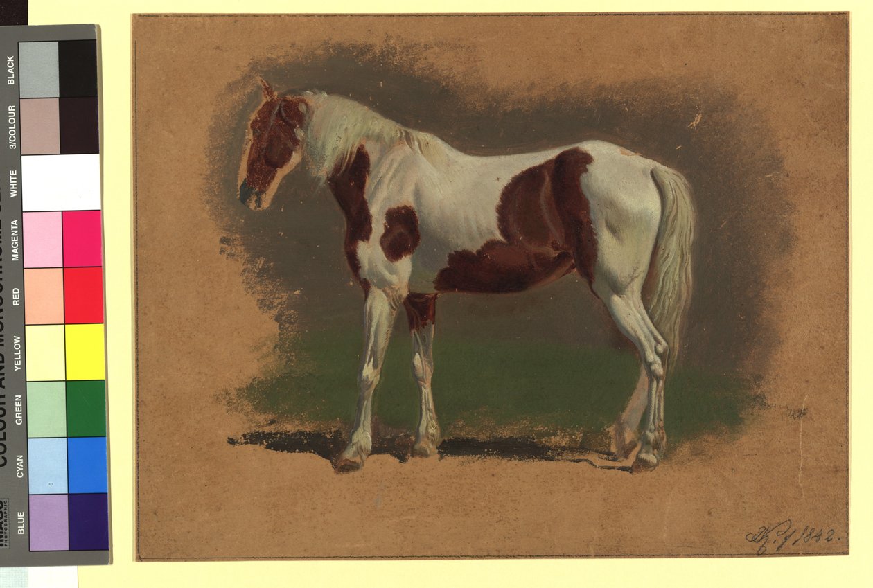 Pferdestudie da Johann Adam Klein