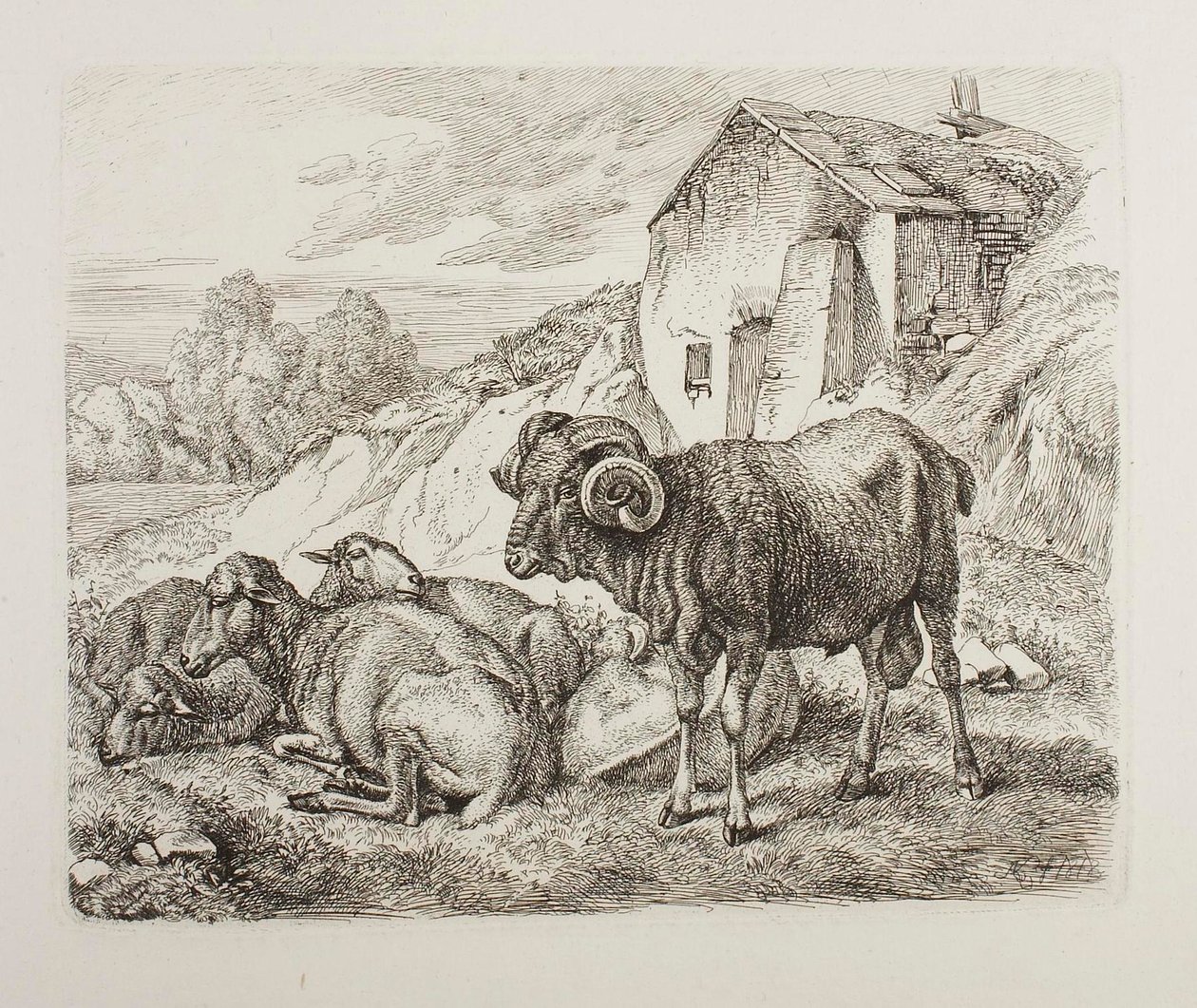 Un montone e una pecora dietro una casa da Johann Adam Klein