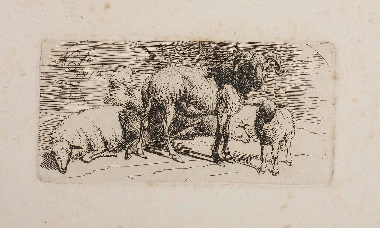 Un ariete, tre pecore e un agnello da Johann Adam Klein