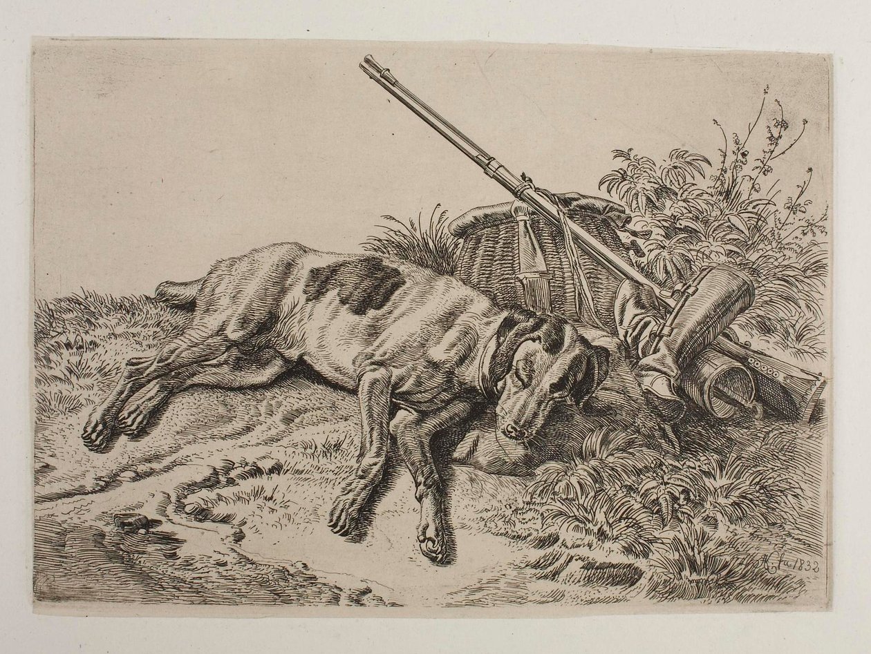 Cane addormentato da Johann Adam Klein