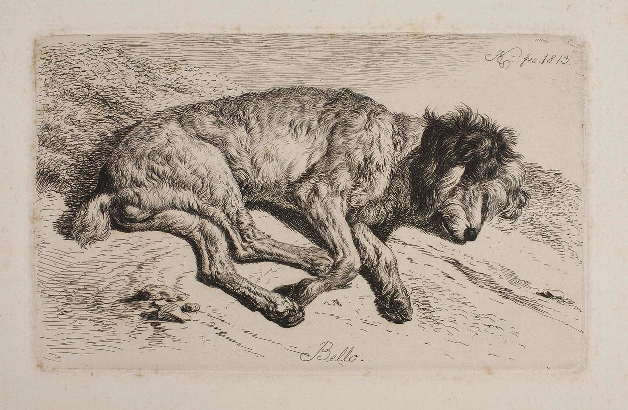 Cane dormiente, Bello da Johann Adam Klein