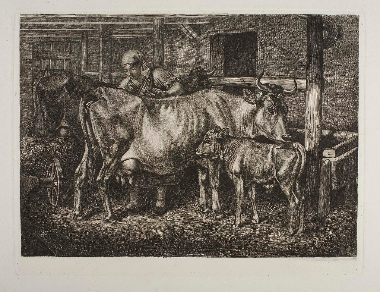 Le mucche strigliate da Johann Adam Klein