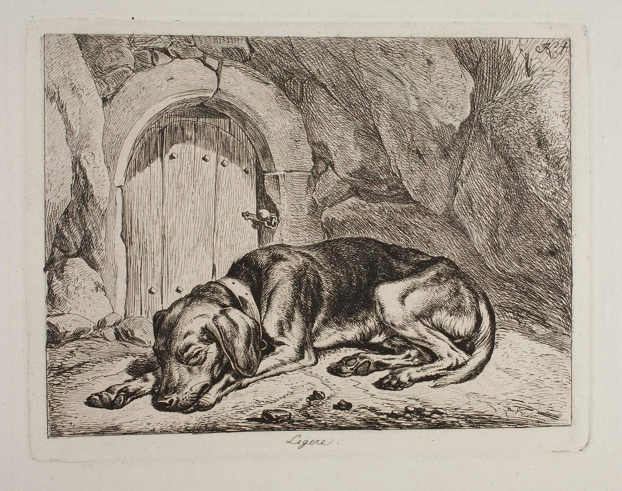 Il cane Legere da Johann Adam Klein