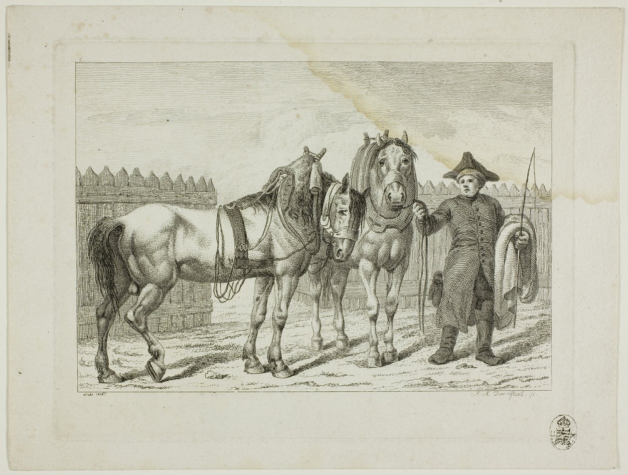 Scuola di equitazione e cavalli da Johann Adolph Darnstedt