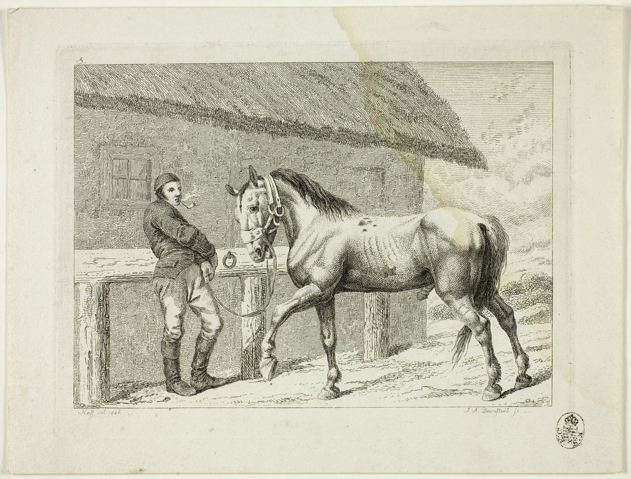 Scuola di equitazione e cavalli da Johann Adolph Darnstedt