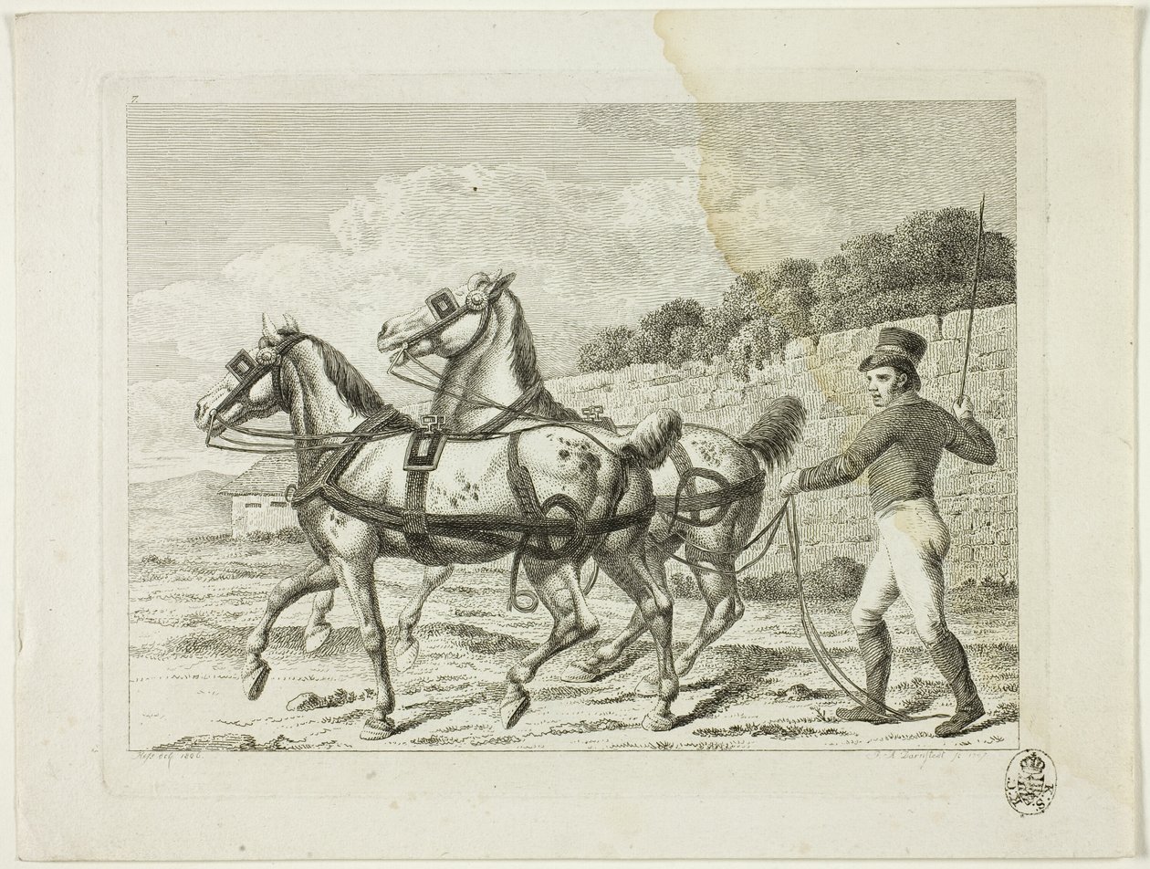 Scuola di equitazione e cavalli da Johann Adolph Darnstedt