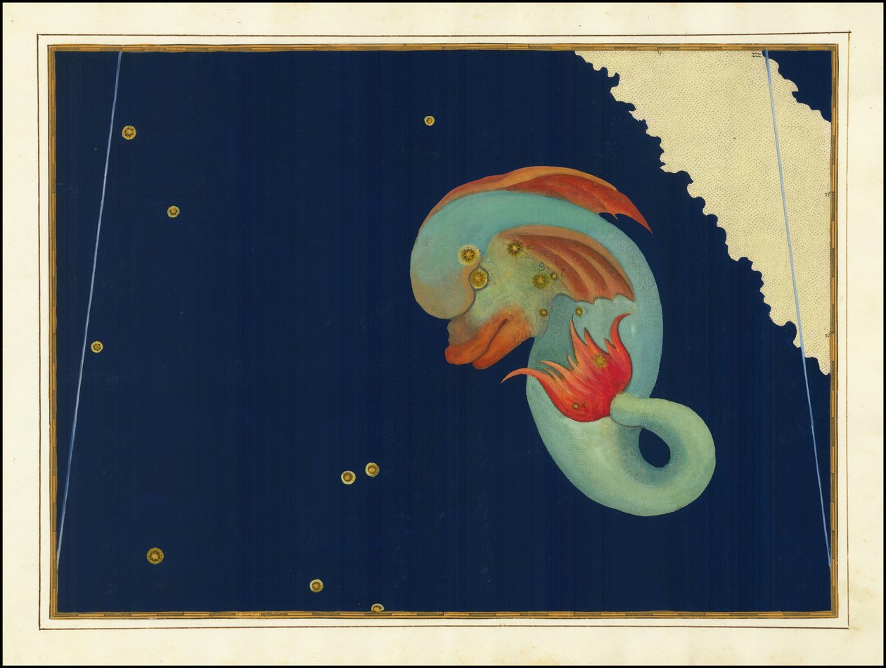 Johann Bayer, Delphinus da Johann Bayer