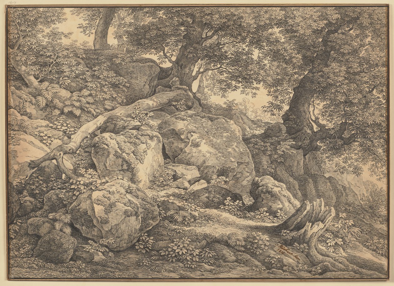 Pendio con massi e ulivi nel parco dei principi Chigi ad Ariccia da Johann Christian Reinhart