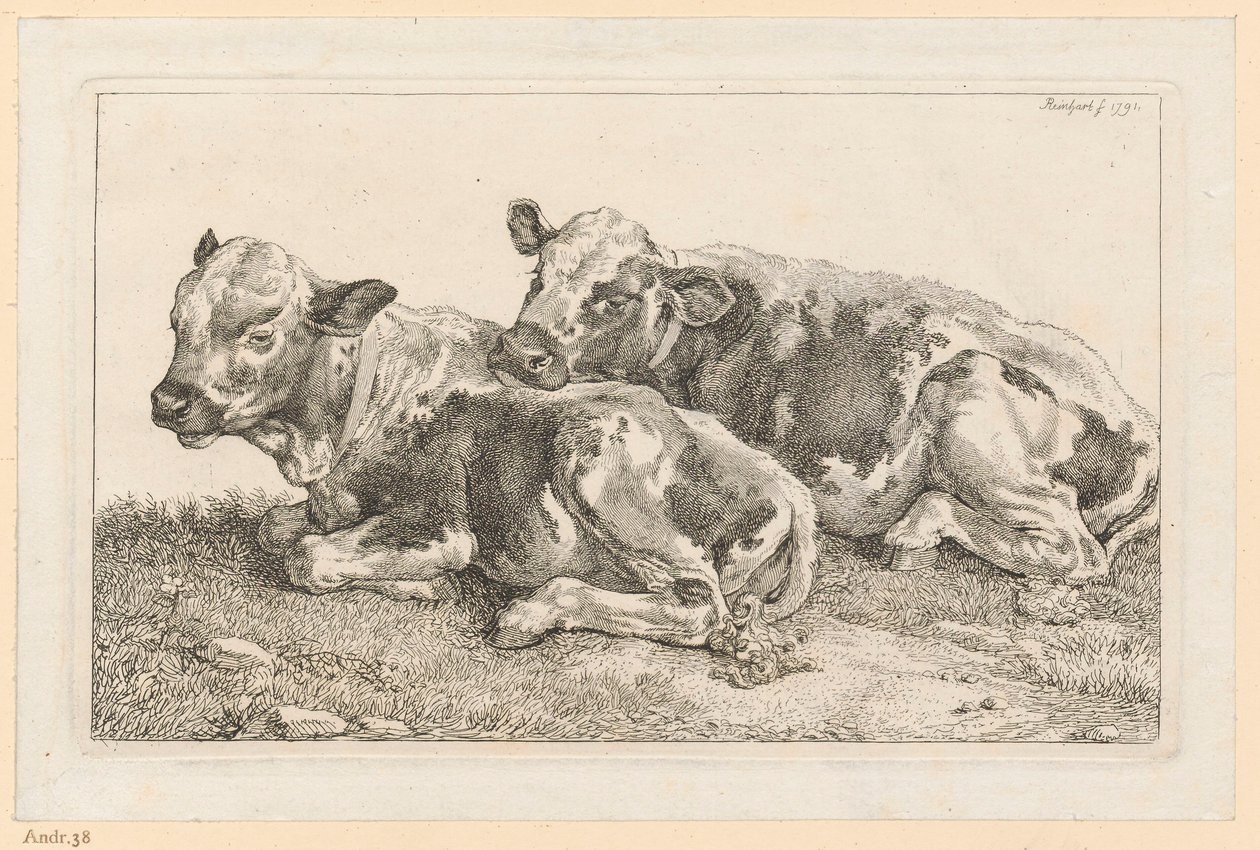 Due vitellini da Johann Christian Reinhart