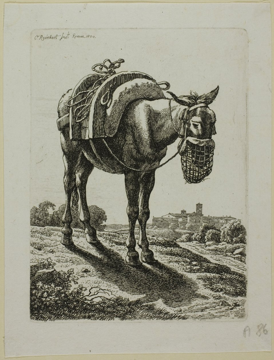 Mulo che mangia - Fronte, da Die Zweite Thierfolge da Johann Christian Reinhart