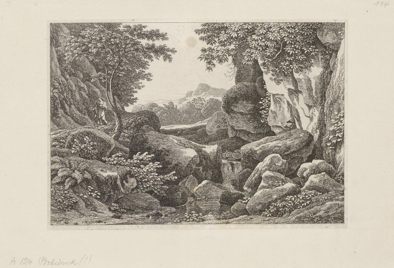 Paesaggio roccioso con un pastore che cammina a sinistra da Johann Christian Reinhart