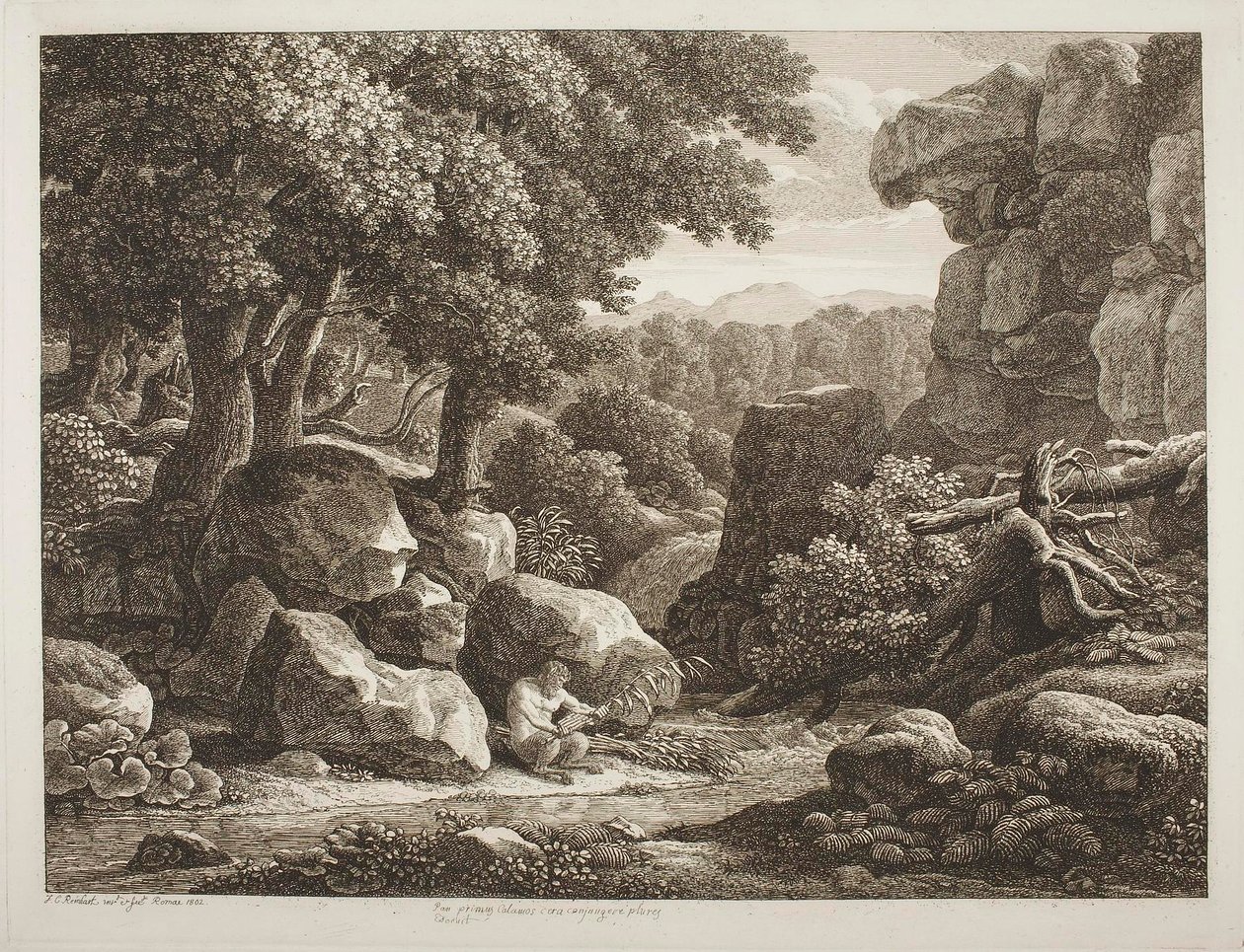 Paesaggio forestale da Johann Christian Reinhart