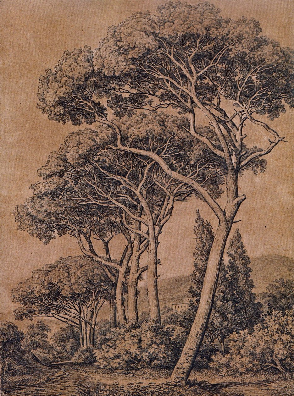 J C Reinhart Pini a ombrello 1791 da Johann Christian Reinhart