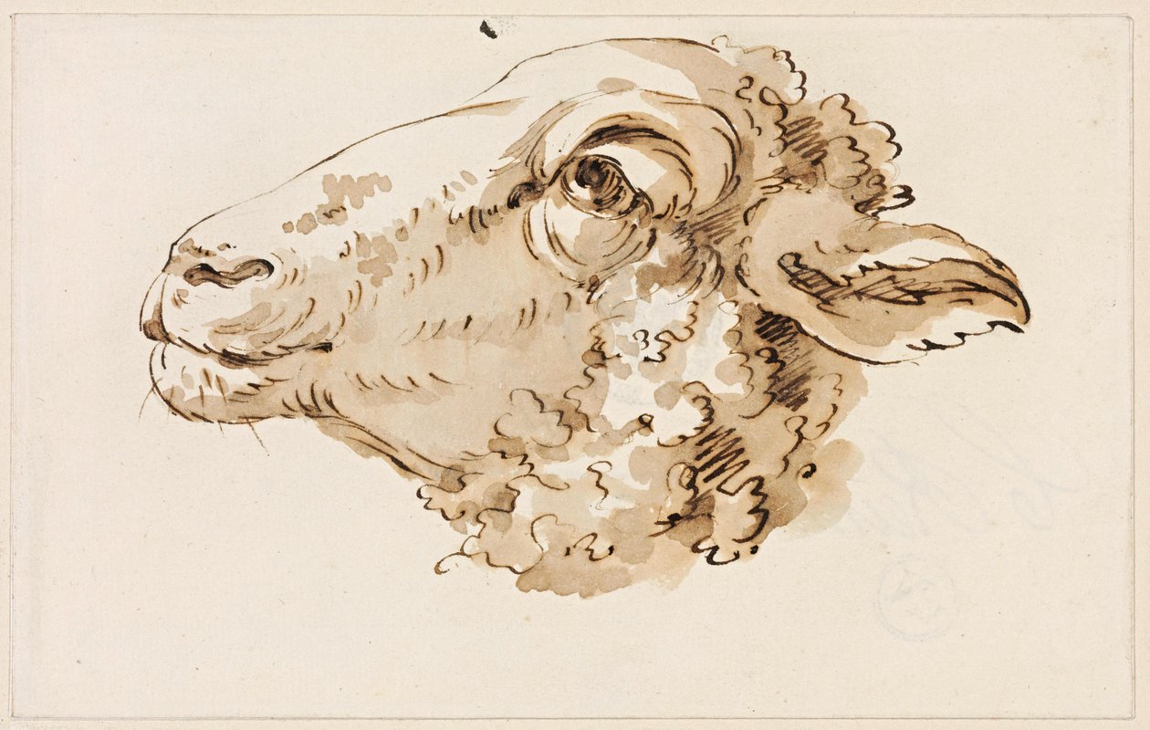 Testa di pecora rivolta a sinistra da Johann Christian Reinhart