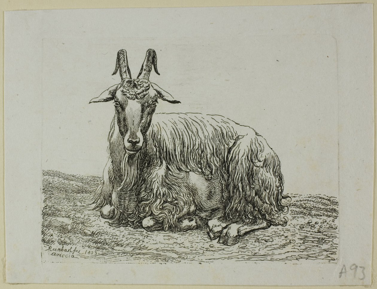 Capra sdraiata, da Die Zweite Thierfolge da Johann Christian Reinhart