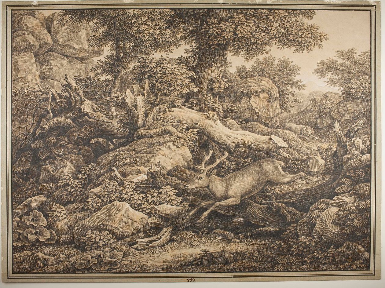 Scena dal parco dei Chigi ad Ariccia da Johann Christian Reinhart