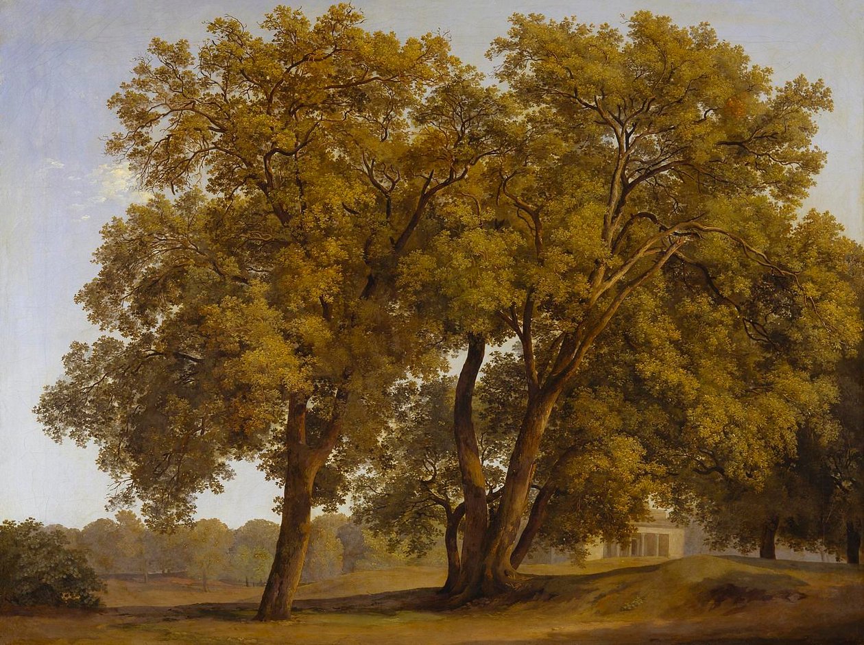 Gli alberi nei giardini di Villa Borghese da Johann Christian Reinhart