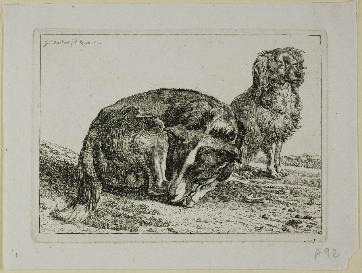 Due cani a riposo, da Die Zweite Thierfolge da Johann Christian Reinhart
