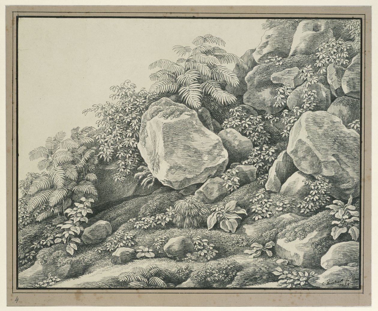 Studio di primo piano: rocce, cespugli, felci e piante a foglia da Johann Christian Reinhart