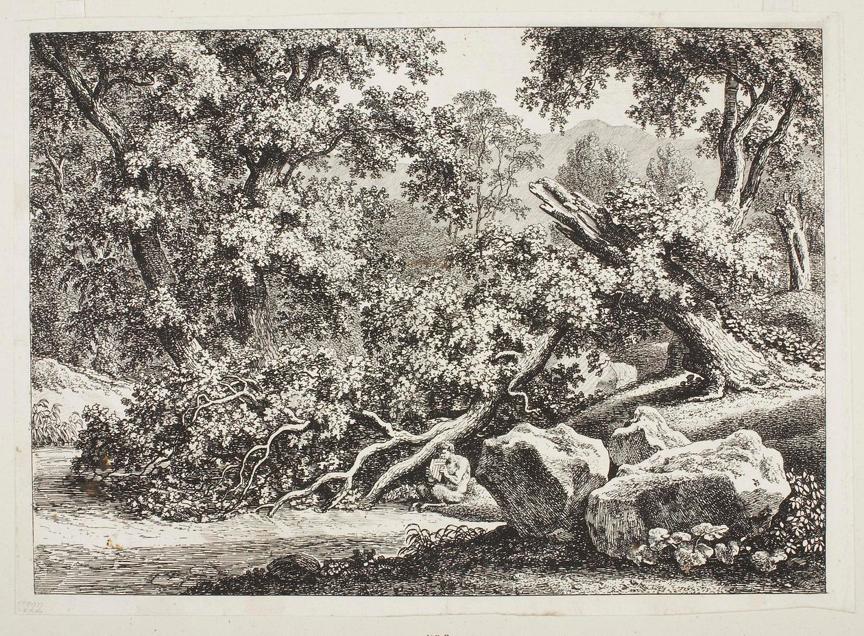 Scena boschiva con quercia spezzata da Johann Christian Reinhart