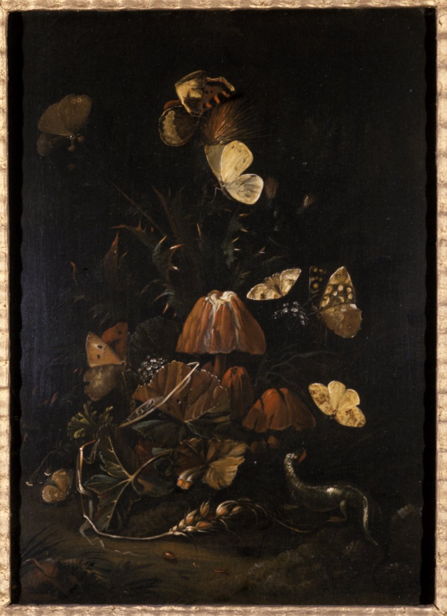 Fiori con farfalle e lucertola da Johann Christian Thomas Winck
