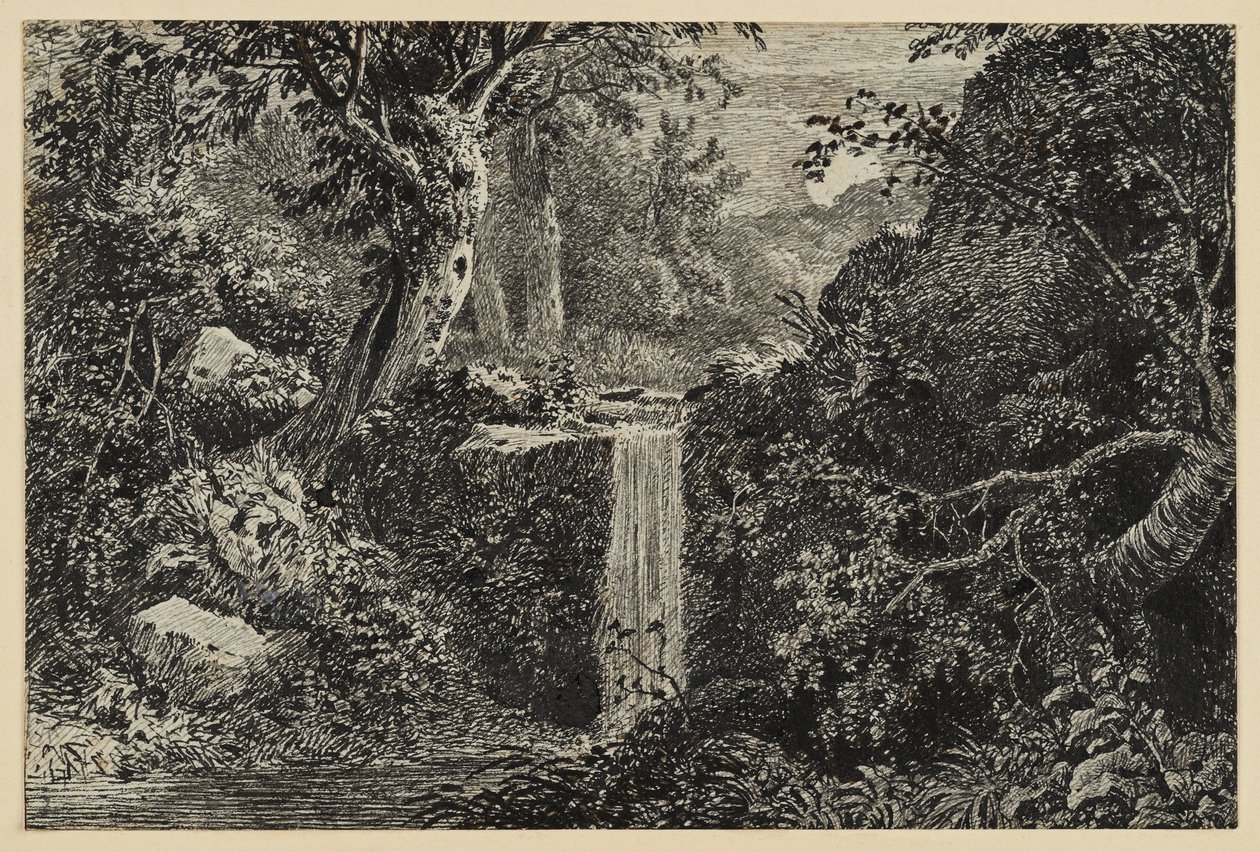 Cascata nella foresta da Johann Christoph Erhard
