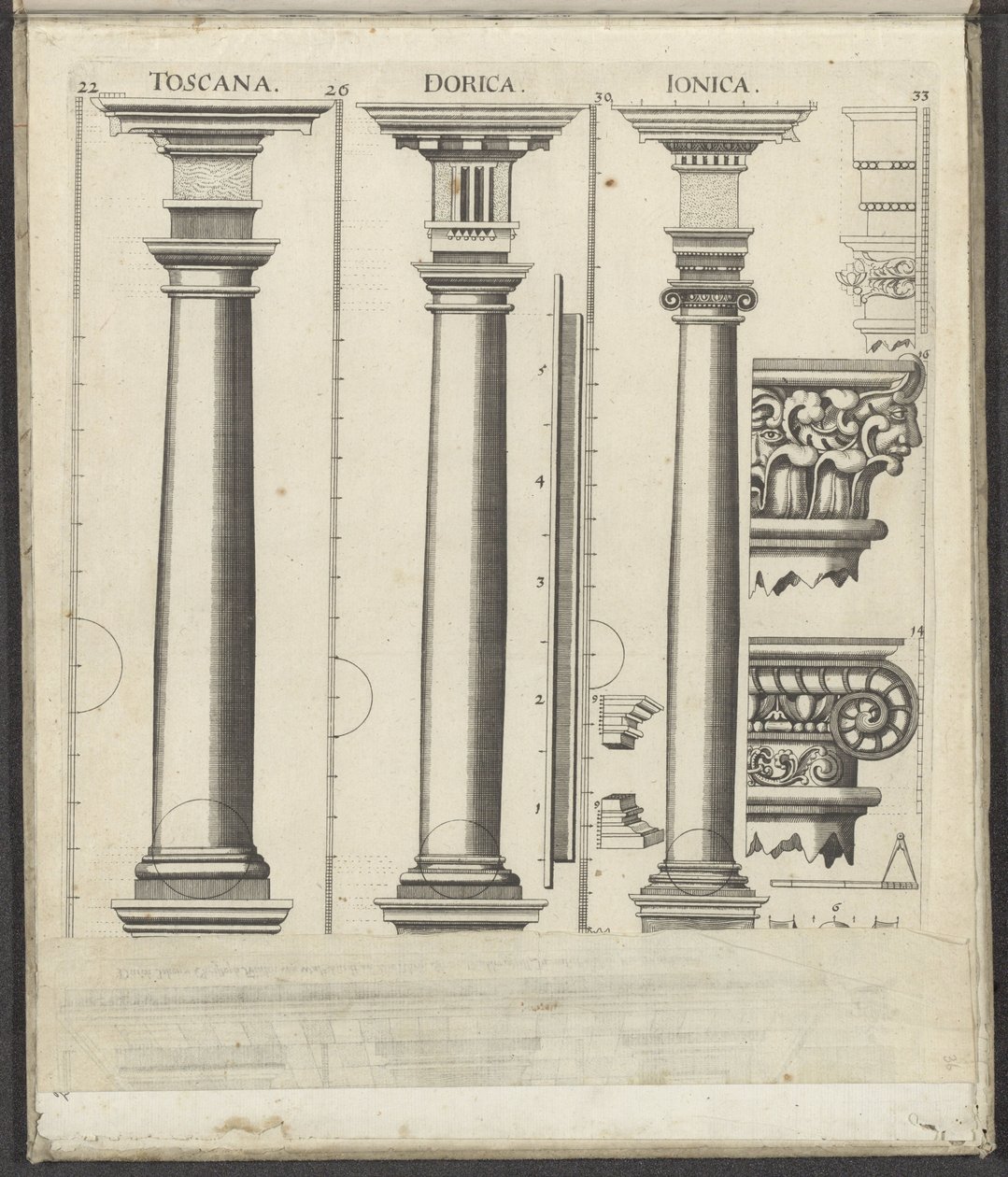 Tre colonne degli ordini Toscano, Dorico e Ionico da Johann Christoph Feinlein