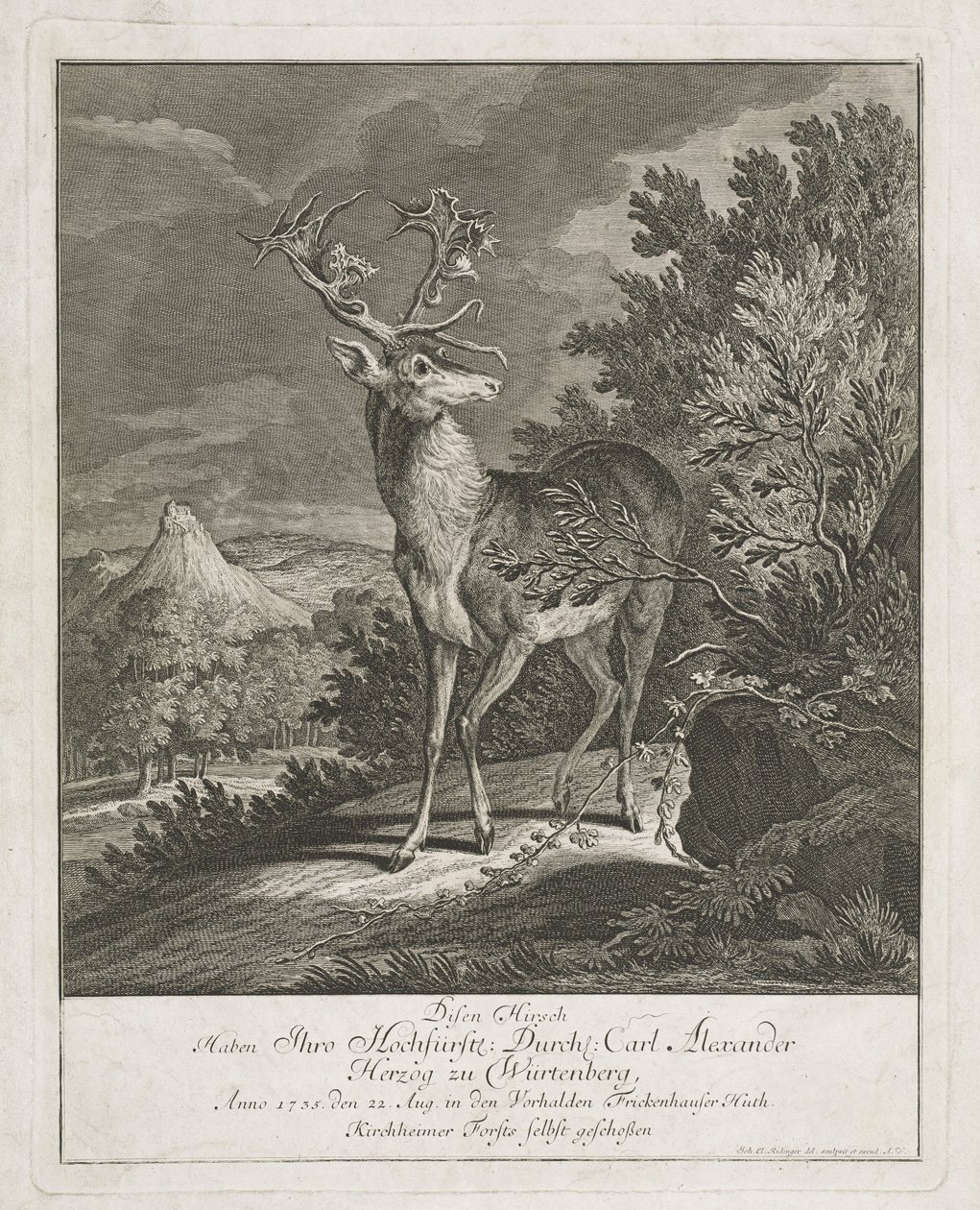 Un magnifico cervo in un paesaggio da Johann Elias Ridinger