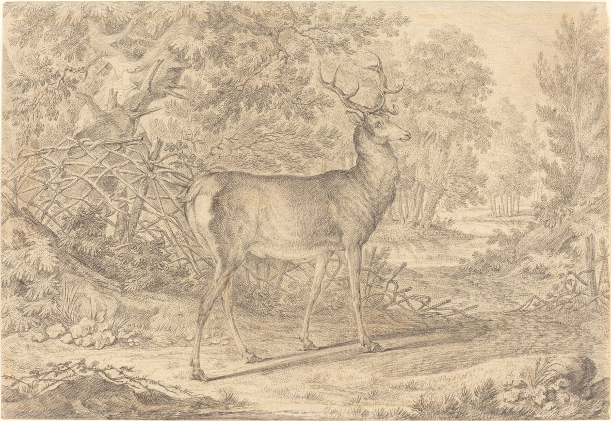 Un giovane cervo splendido davanti a una recinzione di vimini da Johann Elias Ridinger