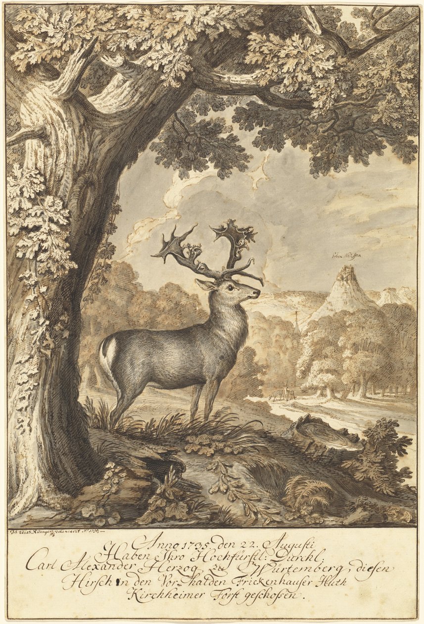 Un cervo sotto una grande quercia da Johann Elias Ridinger