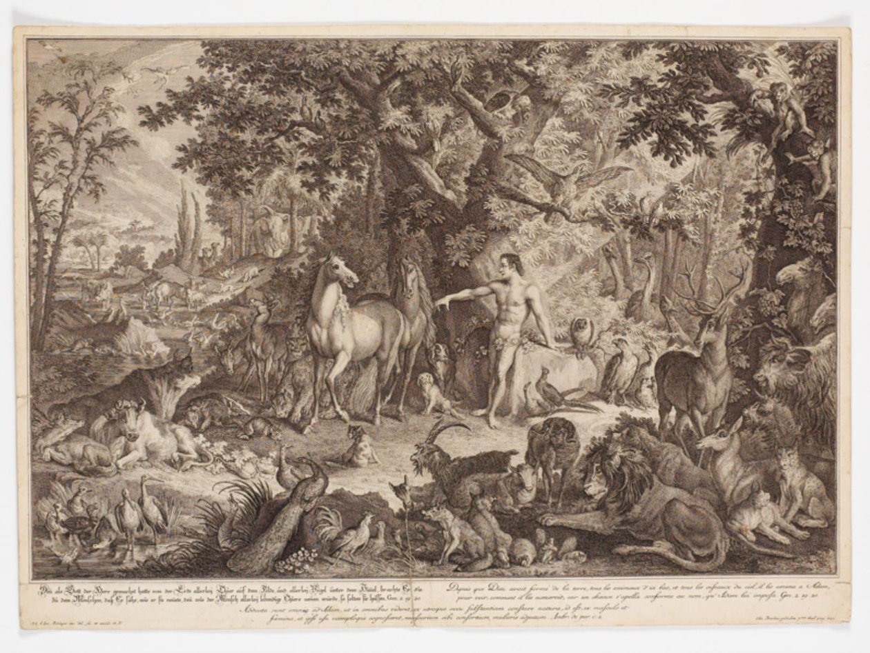 Adamo dà i nomi agli animali da Johann Elias Ridinger