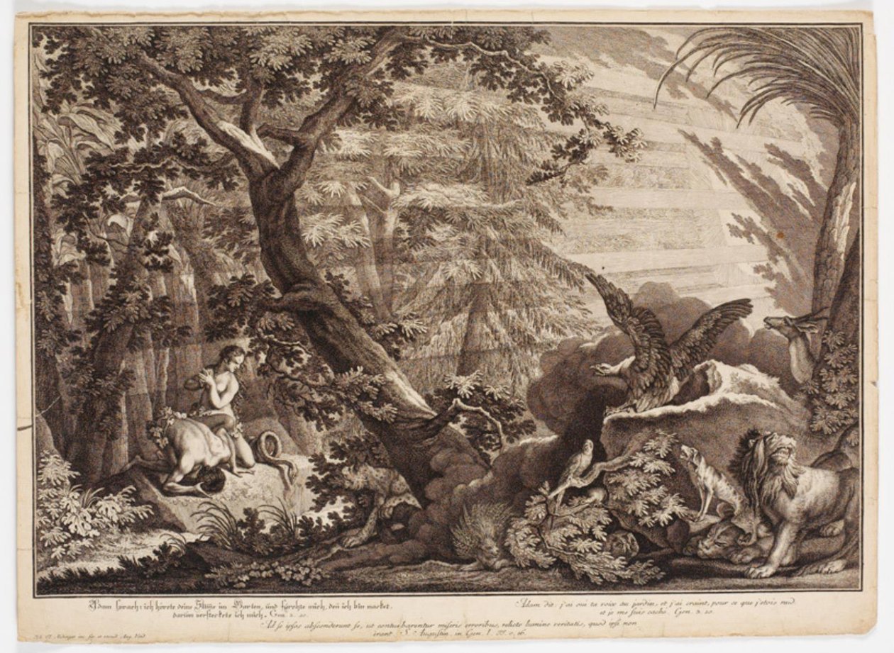 Adamo ed Eva scoprono di essere nudi da Johann Elias Ridinger