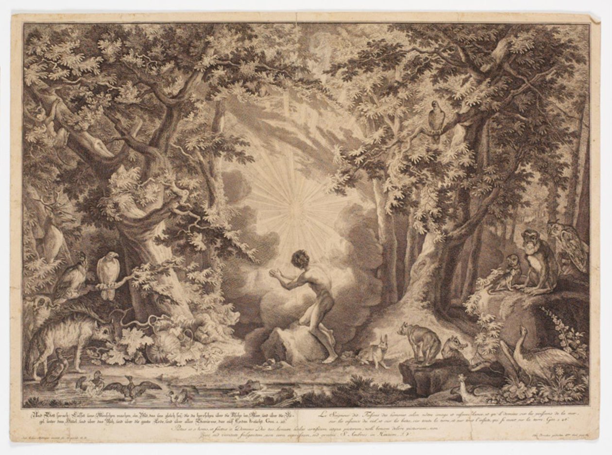 La Creazione di Adamo da Johann Elias Ridinger